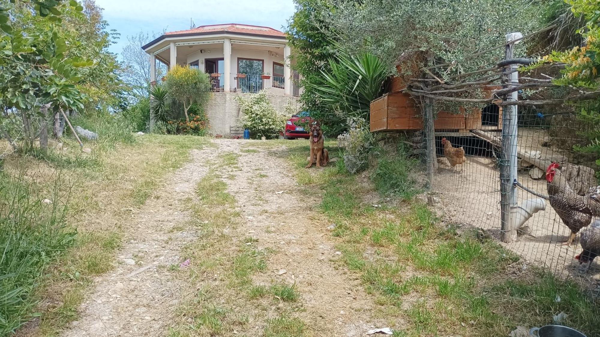 Hotel Palapico Bonifati Exteriér fotografie