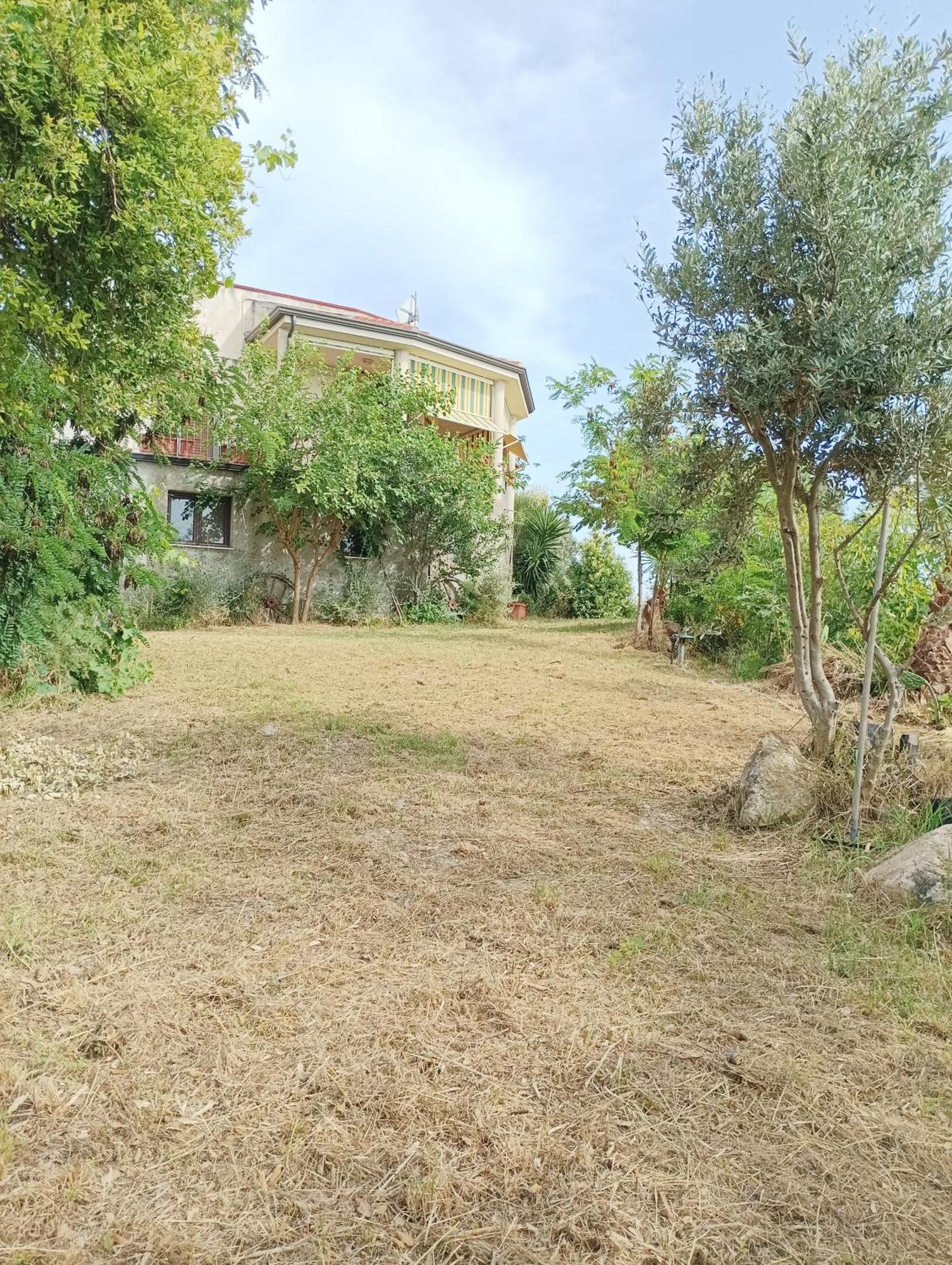 Hotel Palapico Bonifati Exteriér fotografie